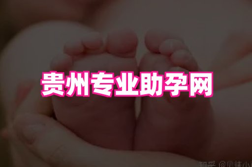 东莞助孕网站 1