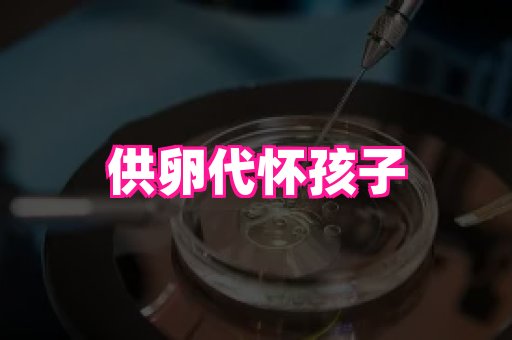 东莞助孕网站 3