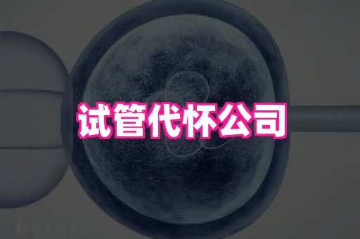东莞助孕网站 4